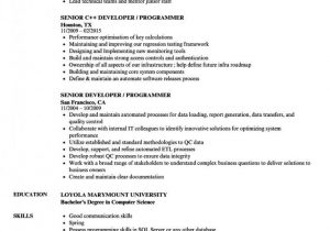 Vba Developer Macros Excel Sample Resume 11 Vba Developer Pattern Resume In 2020