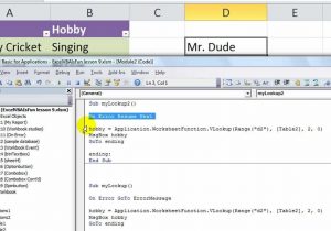 Vba Developer Macros Excel Sample Resume Error Resume Next Vba