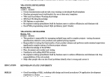 Vba Developer Macros Excel Sample Resume Excel Vba Developer Job Description the Best Developer