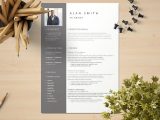 Vfx Artist Resume Template Free Download Free Fx Artist Resume Template with Clean and Professional Look