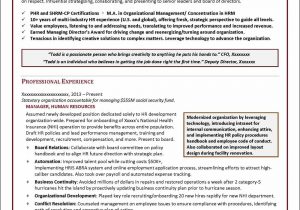 Vice President Of Human Resources Resume Sample Human Resources Manager Resume – Distinctive Career Services