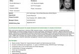 Vice President Of Human Resources Resume Sample Transformation Of A Vp – Hr Resume