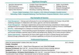 Vice President Of Operations Resume Samples Pin by Edward Reese On Resume In 2021 Manager Resume, Marketing …