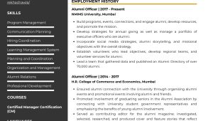 Volunteer and Alumni Coordinator Sample Resume Sample Resume Of Alumni Officer with Template & Writing Guide …