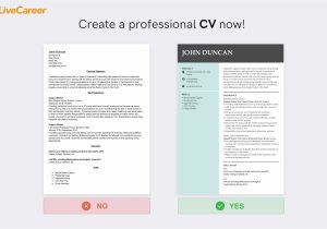 Volunteer with Adult with Mental Illness Resume Samples Support Worker Cv: Examples & Templates for 2022