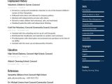 Volunteer Work Resume Samples for It Volunteer Resume Examples & Writing Tips 2022 (free Guide)