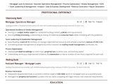 Vp Of Business Operations and Analytics Resume Sample Best Operations Resume: the 2022 Guide with 10lancarrezekiq Examples & Samples