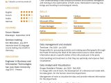Vp Of Business Operations and Analytics Resume Sample Bi Data Analyst Cv Sample 2022 Writing Tips – Resumekraft