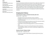 Vp Of Business Operations and Analytics Resume Sample Senior Business Analyst Resume Template 2019 Â· Resume.io