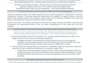 Vp Of Healthcare Supply Chain Resume Sample C-suite & Senior Executive Resume Samples & Writing: Ceo, Coo, Cfo