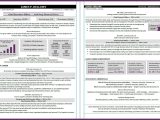 Vp Of Healthcare Supply Chain Resume Sample Resume Samples â Compelling Resumes