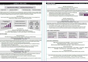 Vp Of Healthcare Supply Chain Resume Sample Resume Samples â Compelling Resumes