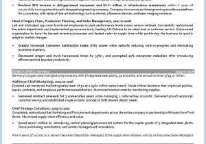 Vp Of Healthcare Supply Chain Resume Sample Samples – Executive Resume Services