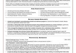 Vp Of Human Resources Resume Sample Executive Resume Sample for Hr Vp1 – Pdf format E-database.org