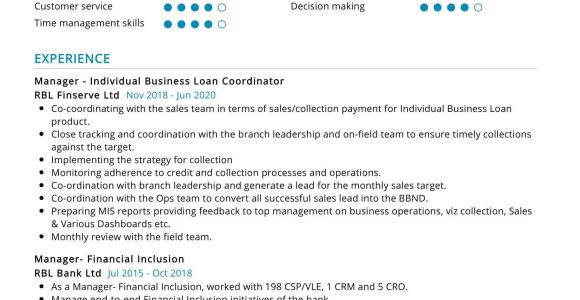 Vp Of Loan Operations Resume Sample Loan Manager Resume Sample 2022 Writing Tips – Resumekraft