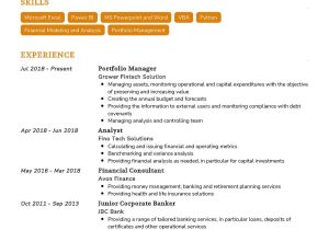Vp Of Portfolio Technology Resume Sample Portfolio Manager Cv Sample 2022 Writing Tips – Resumekraft