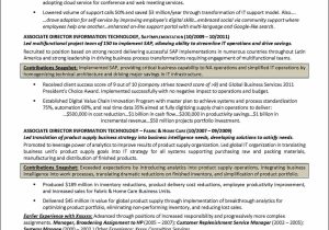 Vp Of Portfolio Technology Resume Sample Senior Technology Executive Resume – Distinctive Career Services