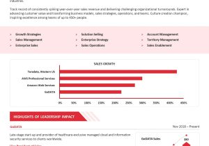 Vp Operations and Sales Resume Sample Vp Of Sales Resume 2022 [samples & Writing]