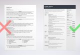 Vp Sales and Marketing Resume Sample Marketing Director Resume Examples and Guide