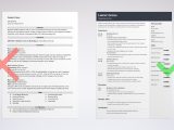 Vp Sales and Marketing Resume Sample Marketing Director Resume Examples and Guide