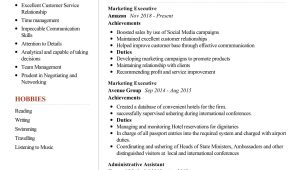 Vp Sales and Marketing Resume Sample Marketing Executive Resume Sample 2022 Writing Tips – Resumekraft