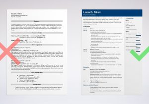 Waitress Job Description for Resume Samples Waitress Resume Examples & Writing Guide [lancarrezekiqskills Template]