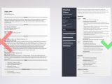 Waitress Resume with No Experience Sample Waiter Resume Examples & Guide (lancarrezekiqskills & Job Description)
