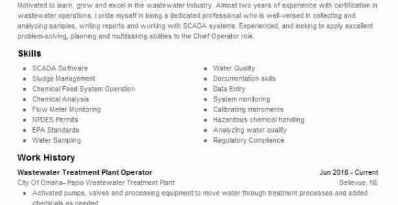 Wastewater Treatment Plant Operator Resume Sample Wastewater Treatment Plant Operator Resume Example forrest