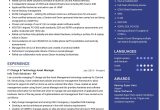 Water Well Office Supervisor Resume Sample It asset Manager Resume Sample 2022 Writing Tips – Resumekraft