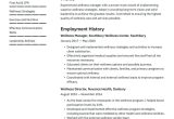 Water Well Office Supervisor Resume Sample Wellness Manager Resume Examples & Writing Tips 2022 (free Guide)