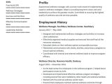 Water Well Office Supervisor Resume Sample Wellness Manager Resume Examples & Writing Tips 2022 (free Guide)