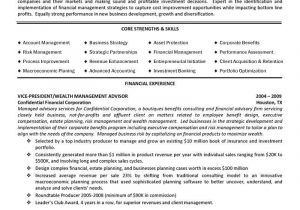 Wealth Management Relationship Manager Sample Resume Business Consultant & Wealth Management Advisor Resume