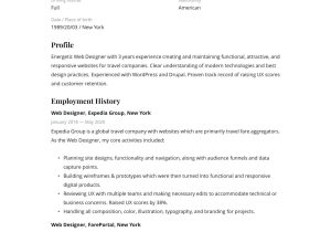 Web Designer Resume Sample for Experience 19 Free Web Designer Resume Examples & Guide Pdf 2020