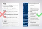 Web Designer Resume Sample for Experience Web Designer Resume Examples (template & 20lancarrezekiq Tips)