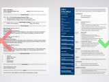Web Designer Resume Sample In India Web Designer Resume Examples (template & 20lancarrezekiq Tips)