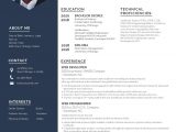 Web Designer Resume Template Free Download Web Developer Resume Template – Word, Apple Pages, Psd Template …