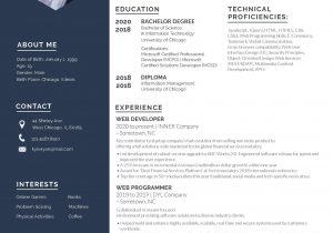 Web Designer Resume Template Free Download Web Developer Resume Template – Word, Apple Pages, Psd Template …