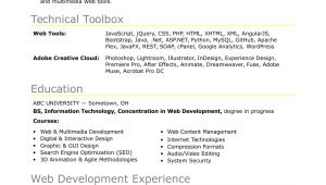 Web Developer Resume No Experience Writing Sample Sample Resume for An Entry-level It Developer Monster.com