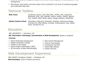 Web Developer Resume Samples No Experience Sample Resume for An Entry-level It Developer Monster.com