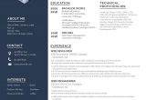 Web Developer Resume Template Free Download Web Developer Resume Template – Word, Apple Pages, Psd Template …