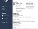 Web Developer Resume Template Free Download Web Developer Resume Template – Word, Apple Pages, Psd Template …