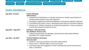Web Development Project Manager Resume Sample software Project Manager Resume Sample 2022 Writing Tips …
