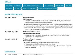Web Development Project Manager Resume Sample software Project Manager Resume Sample 2022 Writing Tips …