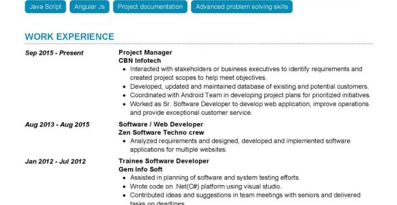 Web Development Project Manager Resume Sample software Project Manager Resume Sample 2022 Writing Tips …