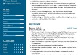 Web Services Business Analyst Sample Resume Business Analyst Resume Template 2022 Writing Tips – Resumekraft