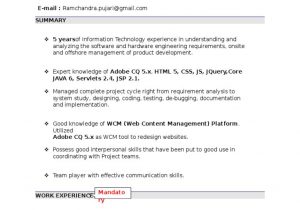 Websphere Application Server Experience Sample Resumes Doc format Sample Resume format Java Server Pages Websites