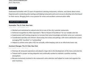 Wine Sales Resume Sample Entry Level sommelier Resume Examples & Writing Tips 2022 (free Guide)