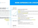 Work Experience On A Resume Sample Work Experience On Resumeâhistory & Job Description Examples