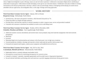 Work From Home Customer Service Resume Sample Work From Home Customer Service Agent Resume Editor & Samples